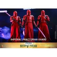 Hot Toys TMS108 1/6 Scale IMPERIAL PRAETORIAN GUARD™